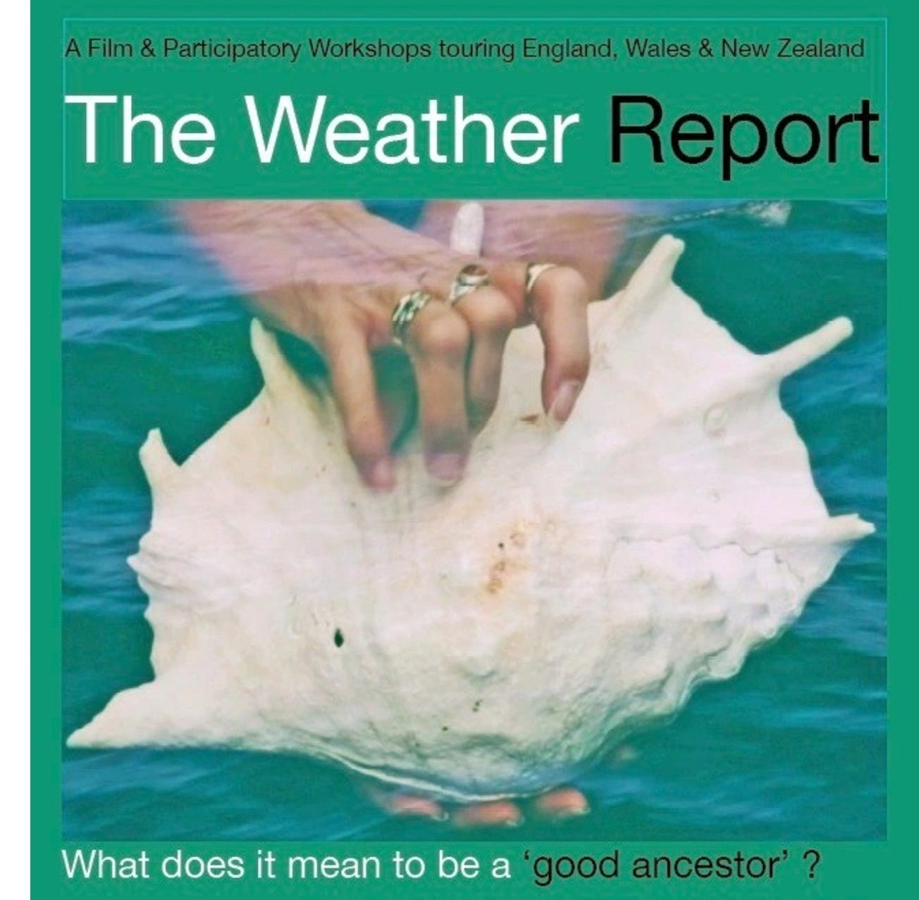 human hands holding a large conch shell